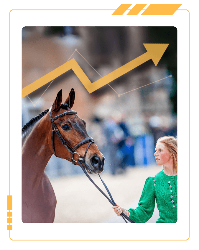 Image of the Bay Horse Lordships Graffalo and Ros Canter During a Horse Inspection. an Upward Trending Arrow Is Behind the Subjects. Photo Tilly Berendt. Design EquiRatings.
