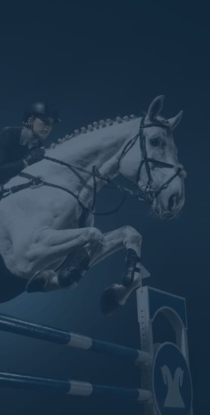 Horse jumping a show jumping fence under a spotlight