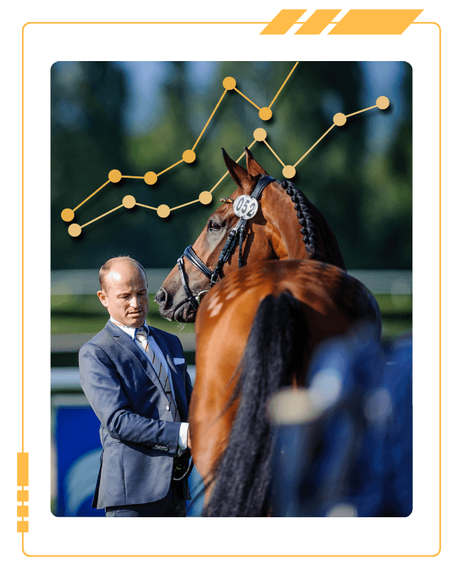 Image of the the Bay Horse La Biosthetique Sam Fbw and Michael Jung During a Horse Inspection. Two Line Graph Icons Are Behind the Subjects. Photo Tilly Berendt. Design EquiRatings.